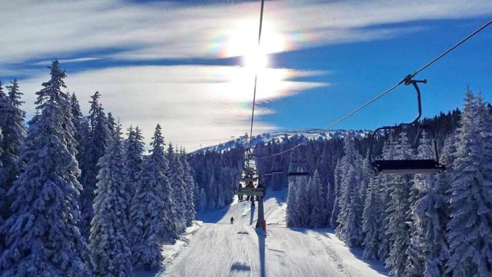 Milmari Resort Premier 46 Kopaonik Ngoại thất bức ảnh